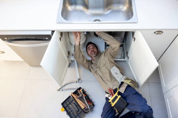 Best Plumbing Services Near Me  in Denver, IA